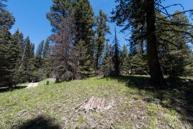 1082 Northview Dr unit 28, McCall, ID 83638 - photo 2