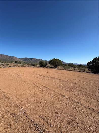 00 E Morning Bird Cir, Hackberry, AZ 86411 - photo 3