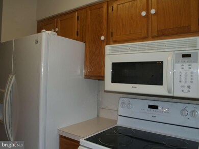 9750 Pleasant Gate Ln, Potomac, MD 20854 - photo 5