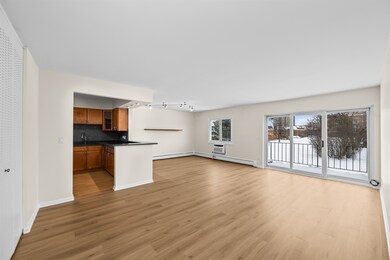 10385 Dearlove Rd unit 2C, Glenview, IL 60025 - photo 3