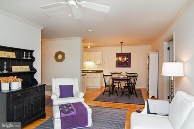 6502 Ridenour Way E unit 3B, Sykesville, MD 21784 - photo 3