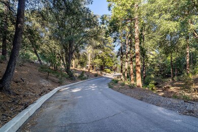 23520 California 243, Idyllwild-Pine Cove, CA 92549 - photo 5