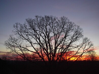 Copy of Sunrise
