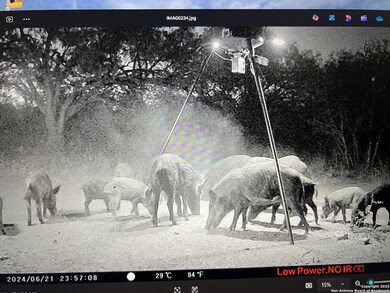 3287 Cr 349, Charlotte, TX 78011 - photo 6