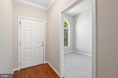 188 N View Cir, Warrenton, VA 20186 - photo 6