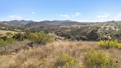 1390 Little Gopher Canyon Rd unit Na, Vista, CA 92084 - photo 4