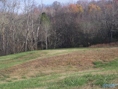 2176 U S Highway 31, Pulaski, TN 38478 - photo 4