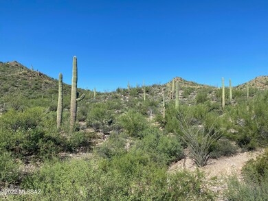 TUCSON MOUNTIANS