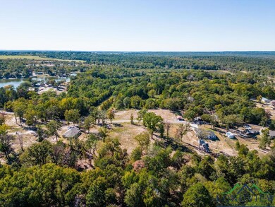 TBD Angus Rd, Big Sandy, TX 75755 - photo 5