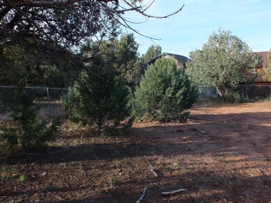 78 Skunk Hollow Ln unit 78, Payson, AZ 85541 - photo 3