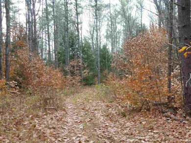 50 Nash Corner Rd, Gilsum, NH 03448 - photo 3