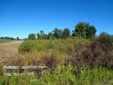 0 135th Ave, Hopkins Township, MI - photo 7