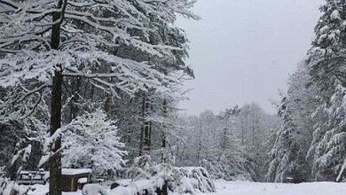 0 S Maple Dr unit 7689036, Jasper, GA 30143 - photo 4