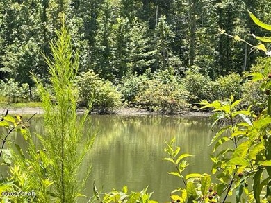 0 Skyview Rd unit 762410, Marianna, FL 32446 - photo 2