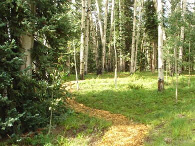 more path