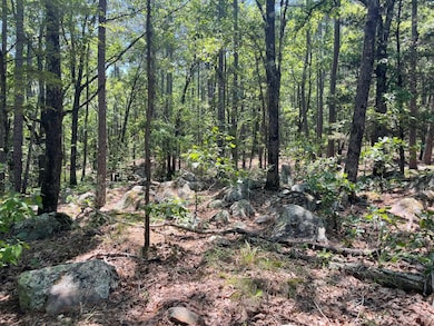 215P&Q Tram Trail, Moyers, OK 74523 - photo 3