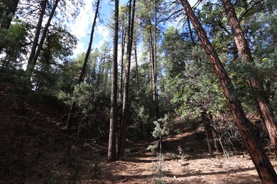 3586 N Pine View Dr, Pine, AZ 85544 - photo 7