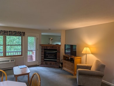 156 Deer Park Dr unit 135 A, Woodstock, NH 03262 - photo 3