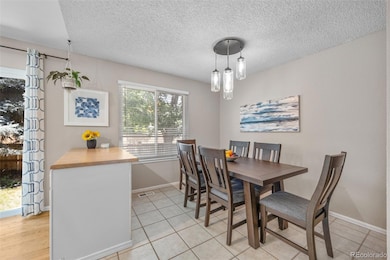 944 Lily Ct, Highlands Ranch, CO 80126 - photo 6