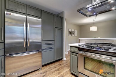 Gas range and pantry