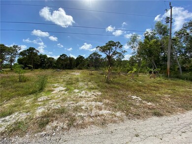 11871 Oscoda Ct, Pine Island Center, FL 33922 - photo 4