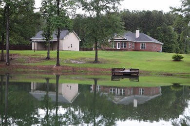 Back View From Lake