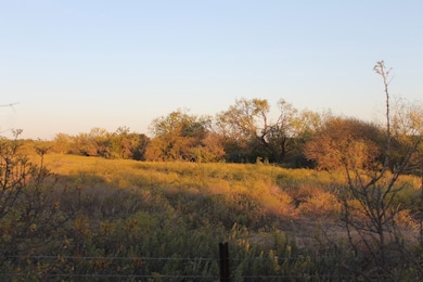 818 195 Cr-163, Winters, TX 78634 - photo 4
