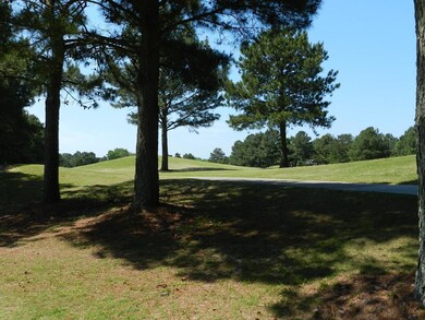 What a beautiful view of the backyard