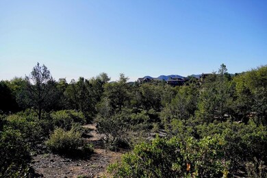 2708 E Coyote Mint Cir, Payson, AZ 85541 - photo 4