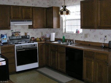 237 S Elm St, Jefferson, OH 44047 - photo 3