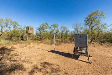 Fm2142, Hamlin, TX 79520 - photo 6