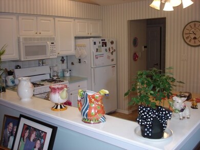 851 Havenshire Rd unit 3, Naperville, IL 60565 - photo 5