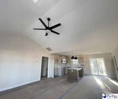 1507 Cattle Ridge Rd, Cheraw, SC 29520 - photo 4