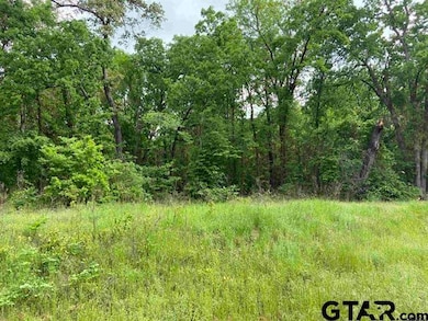 23526 Fm 1995, Lindale, TX 75771 - photo 2