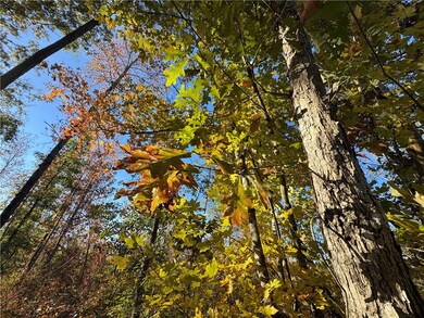 unlisted-address, Camp Hill, AL 36850 - photo 5