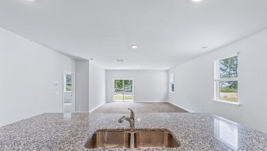 1289 Sabal Palm St unit Lot 477, Castle Hayne, NC 28429 - photo 5