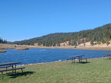 Community Pond 2