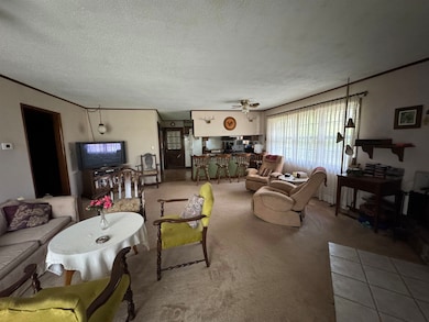 306 Amethyst Ln, Horseshoe Bend, AR 72512 - photo 6