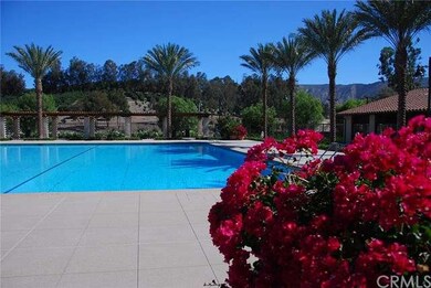The Resort Junior Olympic Pool