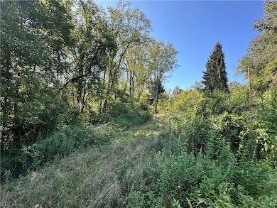 1441 Leckrone Masontown Rd, Masontown, PA 15461 - photo 4