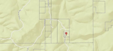 600 Forest Road 462, Tijeras, NM 87059 - photo 4