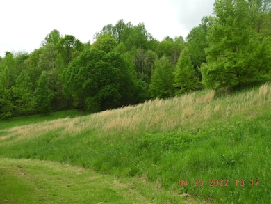 1450 U S Highway 64, Pulaski, TN 38478 - photo 3