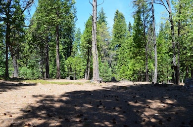 3112 Apache Rd, Arnold, CA 95223 - photo 2