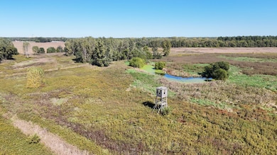 8363 N 200 W, Wheatfield, IN 46392 - photo 4