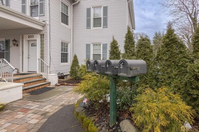 203 Woodbridge Ave unit 4, Metuchen, NJ 08840 - photo 4