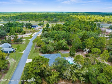 7-web-or-mls-DJI_20250527125219_0480_Da