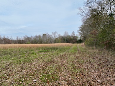 0001 Brown Rd W, Canton, MS 39046 - photo 4