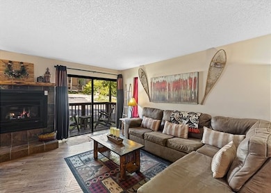 405 Four Oclock Rd unit 14-B, Breckenridge, CO 80424 - photo 6