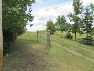 Road to barn