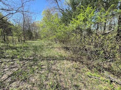 0 Canoe Branch Rd unit RTC3047448, Lebanon, TN 37087 - photo 4